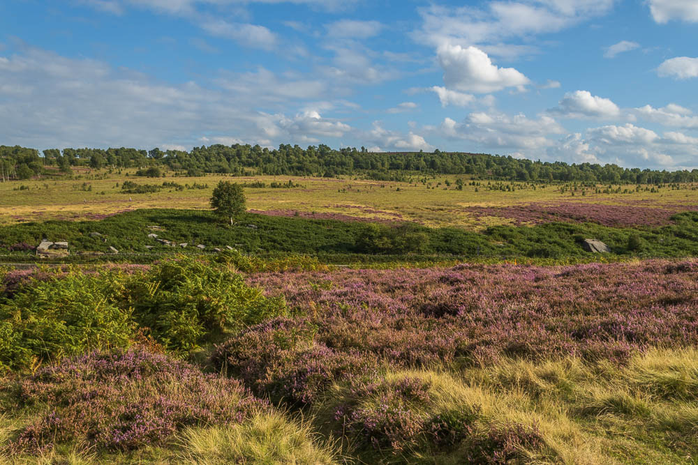 Birchen Edge